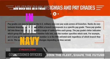 Salary Insights: Earning Potential for Navy Enlisted Rank 0-1