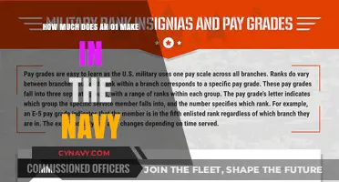 Salary Insights: What's the Annual Income for an O1 in the Navy?
