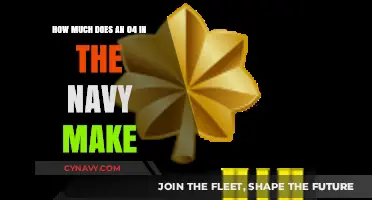 Salary Insights: What's the Annual Income for an O-4 in the Navy?