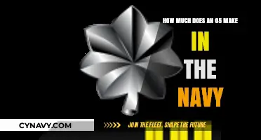 Salary Insights: What's the Annual Income for an O-5 in the Navy?