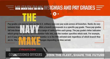 Salary Insights: What's the Annual Income for an 06 in the Navy?