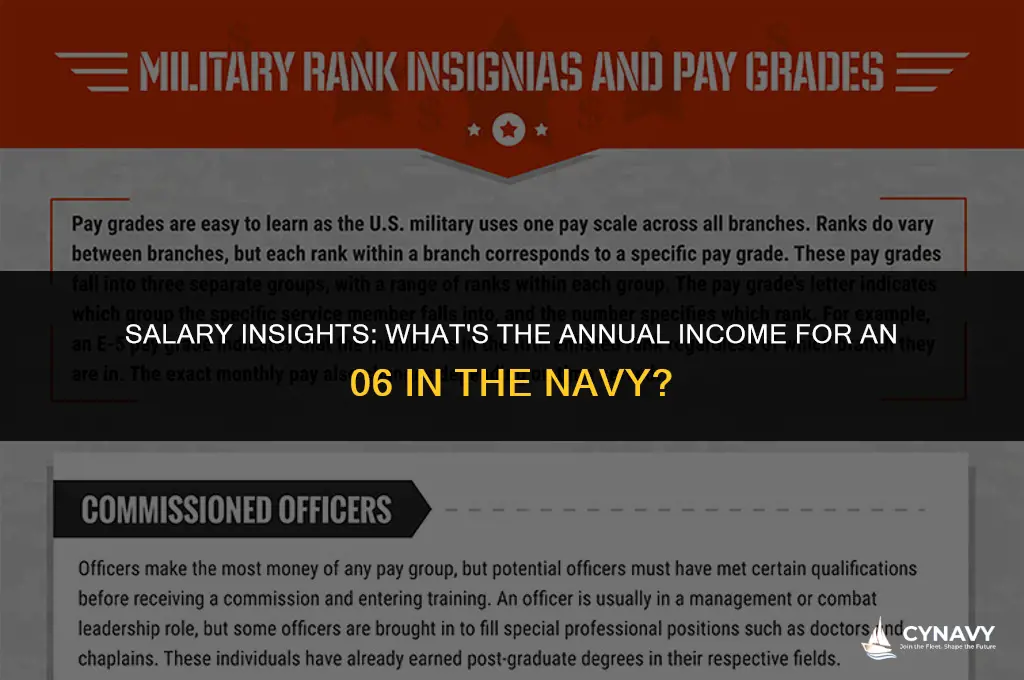 how much does an 06 in the navy make