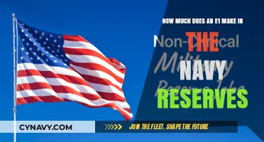 Salary Insights: E-1 Enlisted Personnel in the Navy Reserves