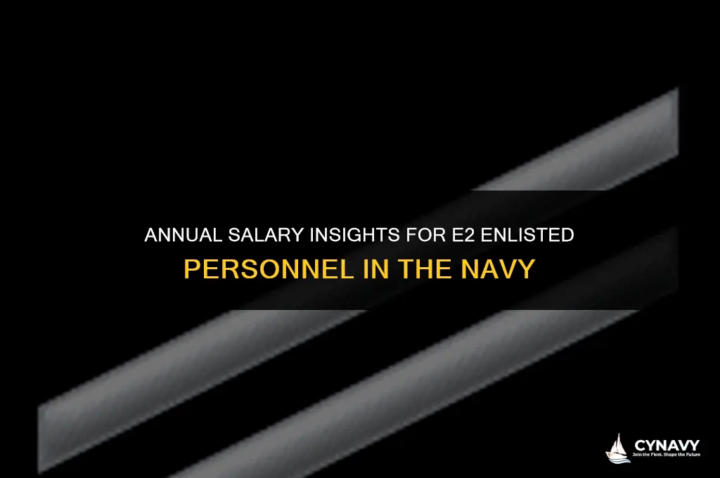 how much does an e2 make in the navy annually