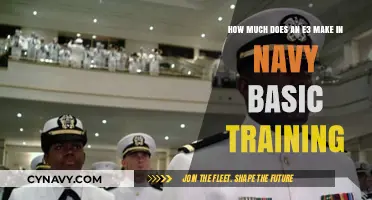 Salary Insights: E3 Enlisted Personnel in Navy Basic Training