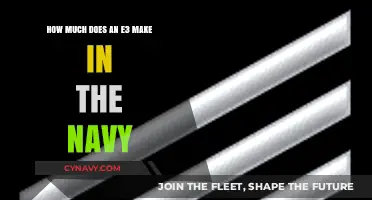 Decoding the Salary: What's the Annual Income for an E3 in the Navy?