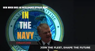 Decoding Salaries: What's the Pay for Navy Intelligence Officers?