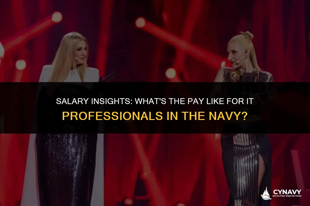 how much does an it make in the navy
