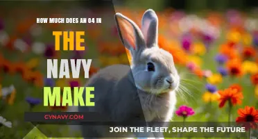 Salary Insights: What's the Pay for an O-4 in the Navy?