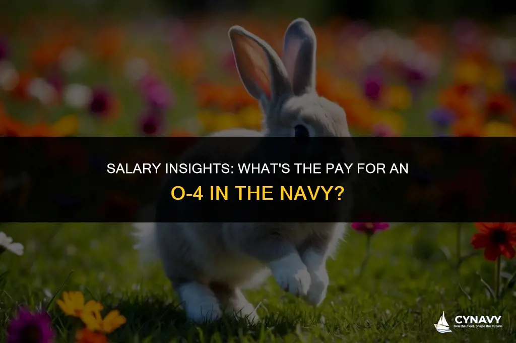 how much does an o4 in the navy make