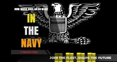 Decoding the Pay Scale: An O-6's Salary in the Navy