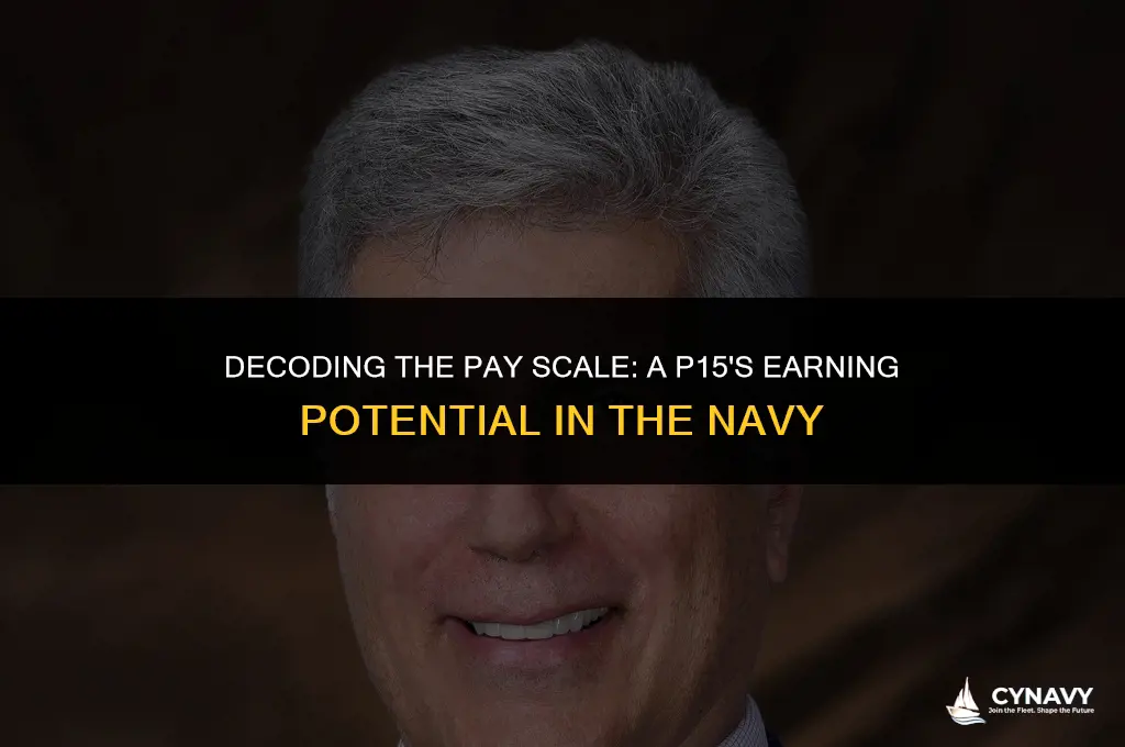 how much does an p15 make in the navy