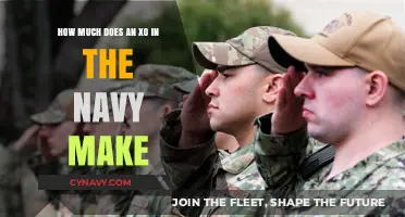 Decoding Navy Salaries: What's the Pay for an XO?