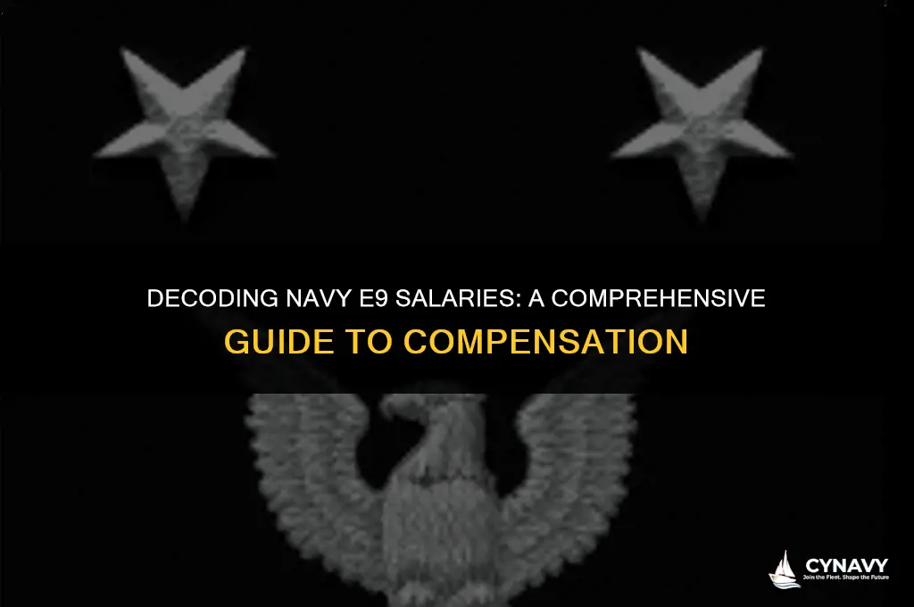 how much does e9 get paid in navy