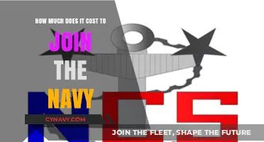 Exploring the Financial Commitment of a Navy Career