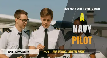 The Cost of Training a Navy Pilot: A Comprehensive Breakdown