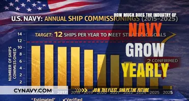 Sailing Forward: The Navy Industry's Annual Growth Trajectory