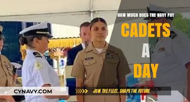 Daily Compensation for Navy Cadets: Unveiling the Facts