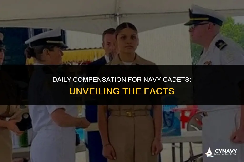 how much does the navy pay cadets a day