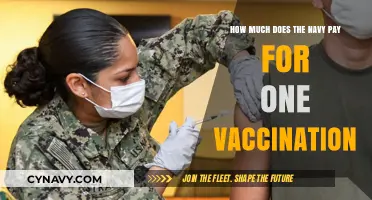 Decoding the Cost: Navy's Vaccination Expenses Unveiled