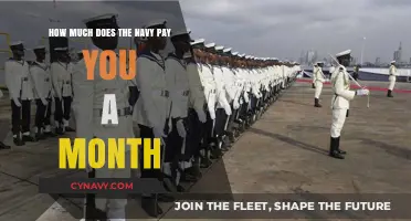 Exploring Monthly Compensation in the Navy: What to Expect