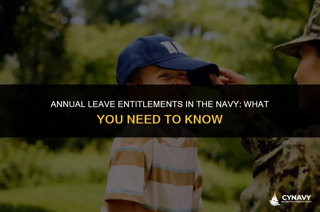 how much leave annualy do you get in navy
