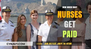 Salary Insights: Navy Nurses' Compensation and Benefits Revealed