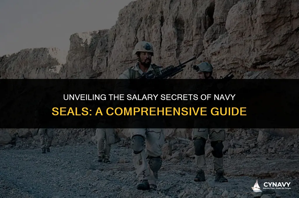 how much navy seals get paid