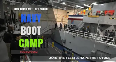 Salary Insights: Earning Potential During Navy Boot Camp Training