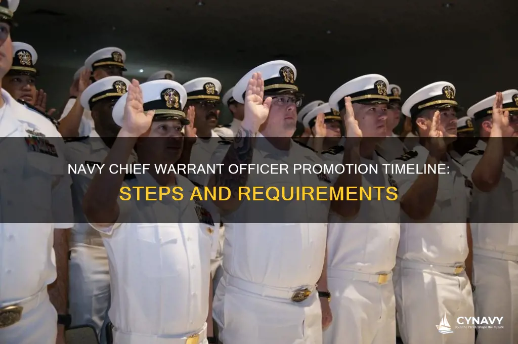 how navy chief warrant officer get promotion timeline