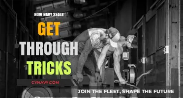 Navy SEAL Mental Toughness: Proven Tricks to Overcome Any Challenge