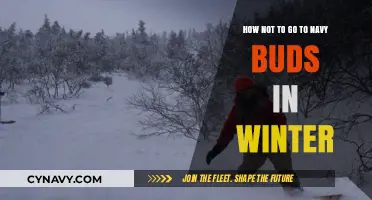 Winter Survival Guide: Avoiding Navy SEAL Training in the Cold