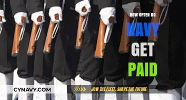 Navy Pay Schedule: Understanding How Often Sailors Receive Their Earnings