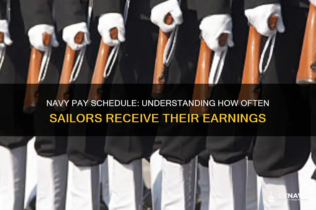 how often do navy get paid