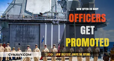 Navy Officer Promotion Timeline: Understanding Career Advancement Frequency