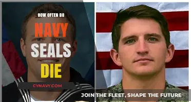 Behind the Valor: Understanding the Risks Navy SEALs Face