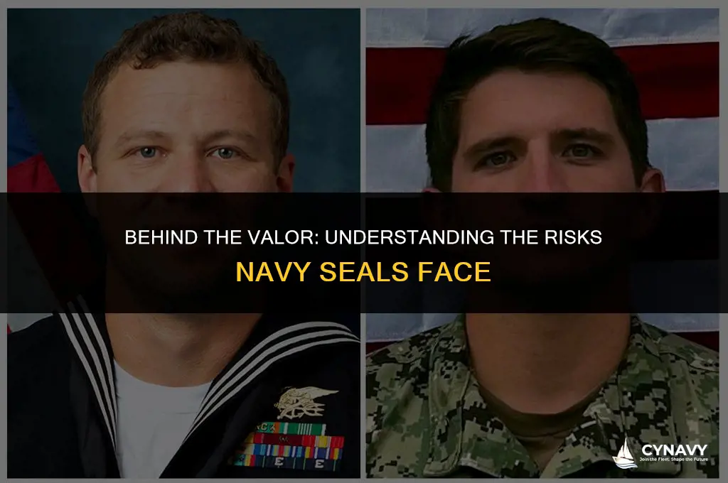 how often do navy seals die