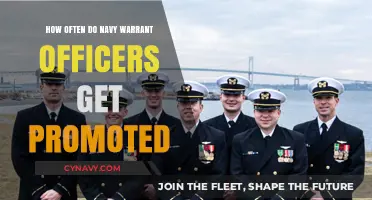 Navy Warrant Officer Promotion Frequency: Understanding Career Advancement Timelines