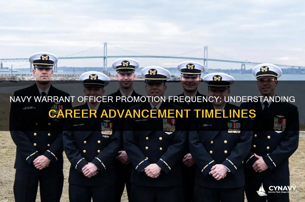 how often do navy warrant officers get promoted