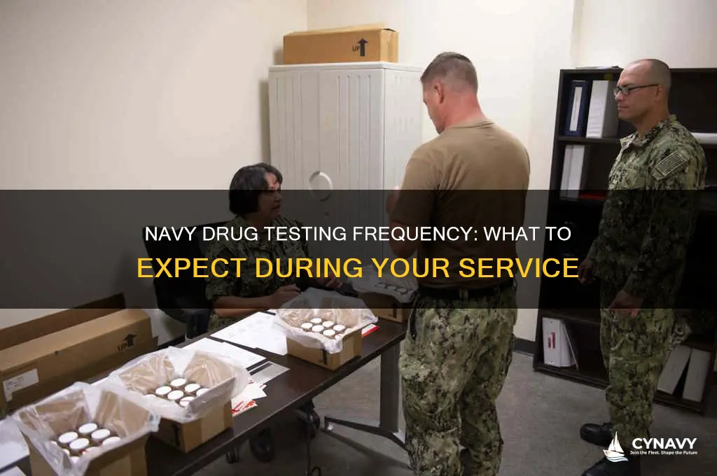 how often do you get drug tested in navy