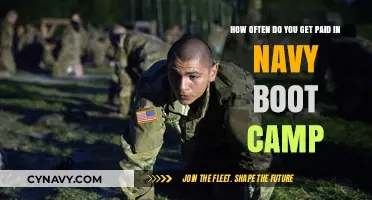 Navy Boot Camp Pay Schedule: How Often Recruits Receive Compensation