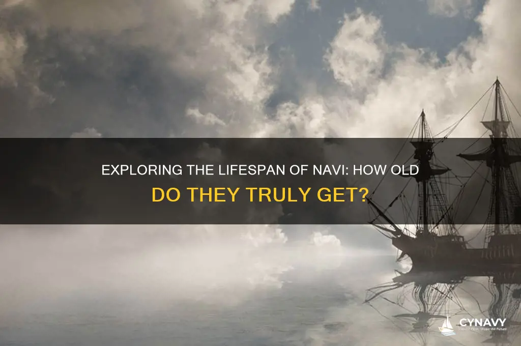 how old do navi get
