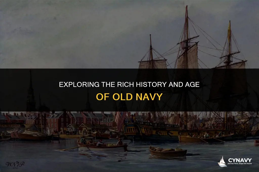 how old is old navy