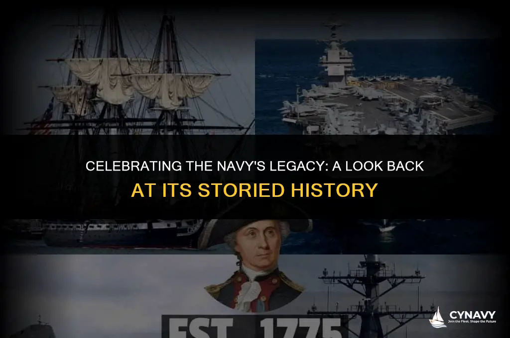 how old is the navy this year