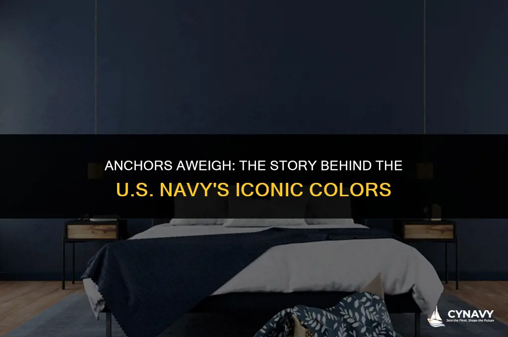 how the us navy got their colors