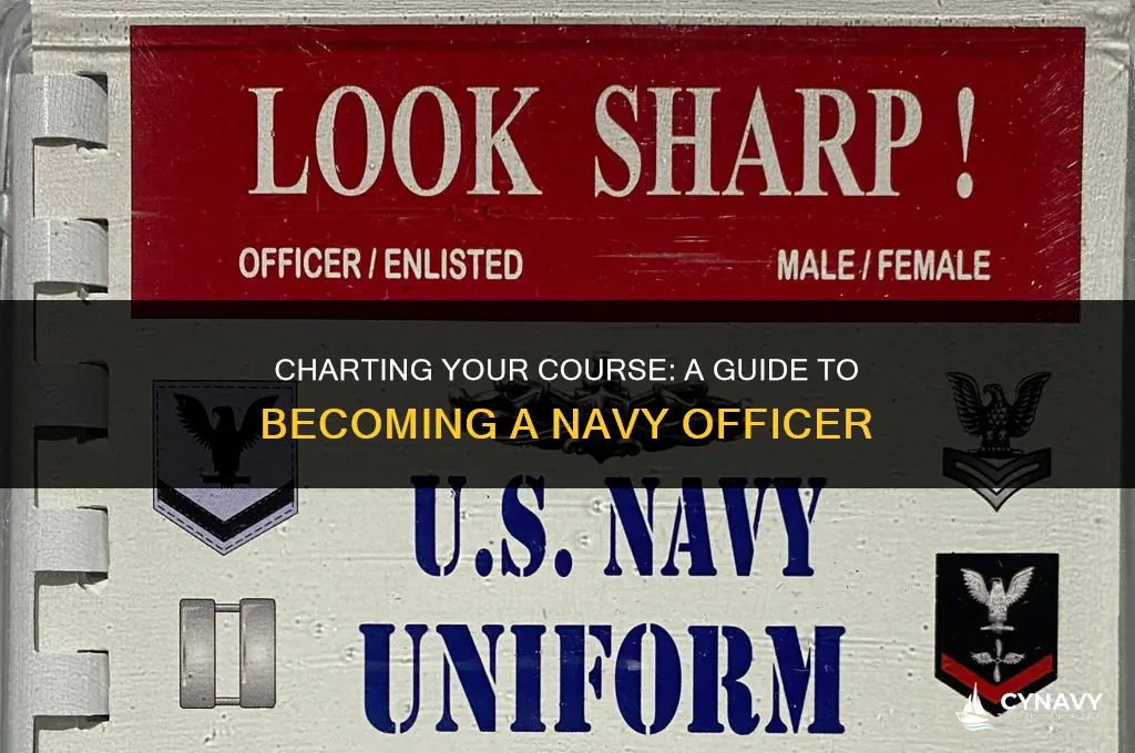 how to be a navy officer