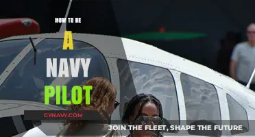 Soaring High: A Comprehensive Guide to Becoming a Navy Pilot