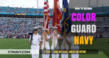 Precision and Pride: A Guide to Joining the Navy Color Guard