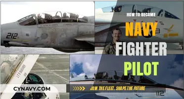 Soaring to New Heights: Your Guide to Becoming a Navy Fighter Pilot
