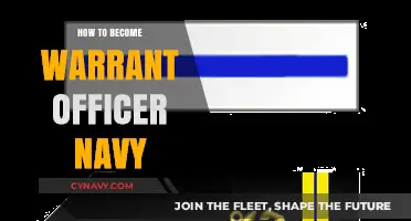 Charting Your Course: A Guide to Becoming a Navy Warrant Officer